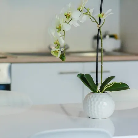 Apartamento Il Mare 8 *